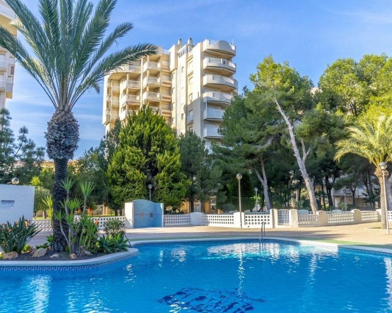 Apartamento - Reventa - Orihuela Costa - Campoamor