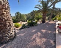 Bestaande woningen - Villa - Algorfa