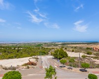 Bestaande woningen - Villa - San Miguel
