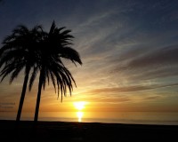 New Build - Apartment - Estepona - Buenas Noches