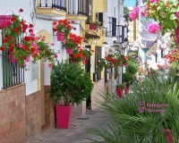 New Build - Apartment - Estepona - Parque El Calvario