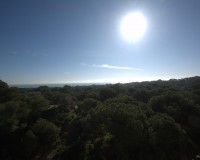 New Build - Apartment - Guardamar - Pueblo