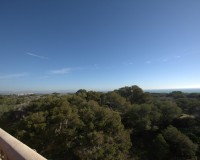 New Build - Apartment - Guardamar - Pueblo