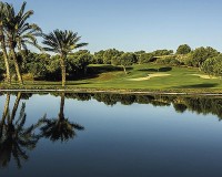 New Build - Ground floor apartment - Montforte del Cid - Alenda Golf