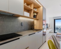 New Build - Penthouse - Guardamar - EL RASO
