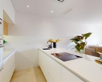 New Build - Penthouse - Guardamar - EL RASO