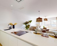 New Build - Penthouse - Guardamar - EL RASO