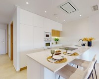 New Build - Penthouse - Guardamar - EL RASO
