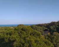 New Build - Penthouse - Guardamar - Pueblo