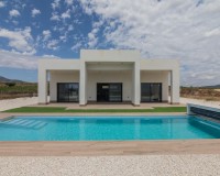 New Build - Villa - Pinoso - Campo