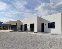 New Build - Villa - Pinoso - Casas Pastor
