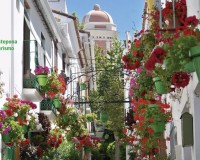 Nieuw constructie - Appartement - Estepona - Playa de La Rada