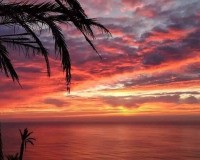 Nieuw constructie - Top Floor Bungalow - Torrevieja - Altos del Sol