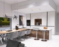 Nieuw constructie - Villa - Aspe - Poligono 19