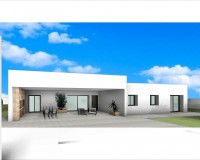 Nieuw constructie - Villa - Aspe - Poligono 19