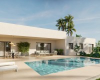 Nieuw constructie - Villa - Aspe - Poligono 19