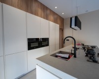 Nieuw constructie - Villa - Benejúzar - alta