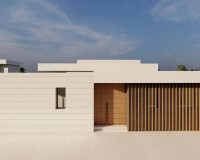 Nieuw constructie - Villa - Pilar de la Horadada - pueblo