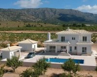 Nieuw constructie - Villa - Pinoso - Camino Del Prado