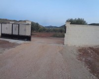 Nieuw constructie - Villa - Pinoso - Camino Del Prado