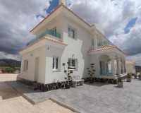 Nieuw constructie - Villa - Pinoso - Camino Del Prado