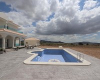 Nieuw constructie - Villa - Pinoso - Camino Del Prado