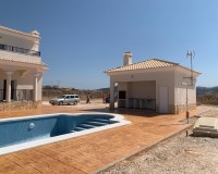 Nieuw constructie - Villa - Pinoso - Camino Del Prado