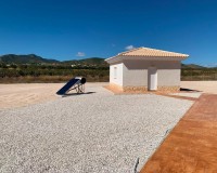 Nieuw constructie - Villa - Pinoso - Camino Del Prado