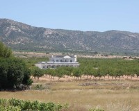 Nieuw constructie - Villa - Pinoso - Camino Del Prado