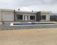Nieuw constructie - Villa - Pinoso - Camino Del Prado