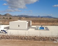 Nieuw constructie - Villa - Pinoso - Camino Del Prado