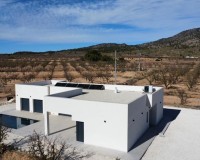 Nieuw constructie - Villa - Pinoso - Campo