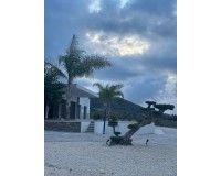 Nieuw constructie - Villa - Pinoso - Casas Pastor