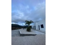Nieuw constructie - Villa - Pinoso - Casas Pastor