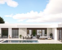 Nieuw constructie - Villa - Pinoso - Lel