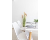 Nieuw constructie - Villa - San Javier - Parque de los leones