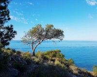Nueva construcción - Apartamento - Villajoyosa - Playa Les Torres