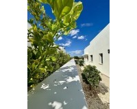 Nueva construcción - Chalet - Benijofar - Pueblo