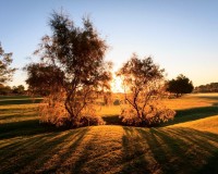 Nueva construcción - Chalet - Pilar de la Horadada - Lo Romero Golf