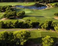 Nueva construcción - Chalet - Pilar de la Horadada - Lo Romero Golf