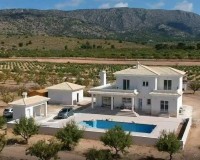 Nueva construcción - Chalet - Pinoso - Camino Del Prado
