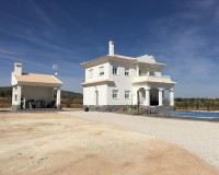Nueva construcción - Chalet - Pinoso - Camino Del Prado
