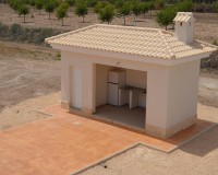 Nueva construcción - Chalet - Pinoso - Camino Del Prado