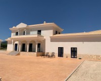 Nueva construcción - Chalet - Pinoso - Camino Del Prado