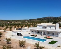 Nueva construcción - Chalet - Pinoso - Camino Del Prado