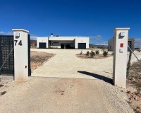 Nueva construcción - Chalet - Pinoso - Camino Del Prado