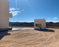 Nueva construcción - Chalet - Pinoso - Camino Del Prado
