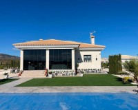 Nueva construcción - Chalet - Pinoso - Camino Del Prado