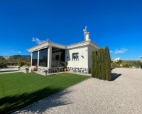 Nueva construcción - Chalet - Pinoso - Camino Del Prado