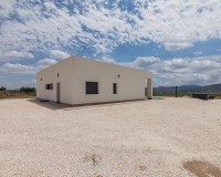 Nueva construcción - Chalet - Pinoso - Campo